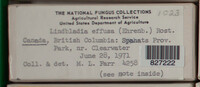 Image Associated With the Occurence